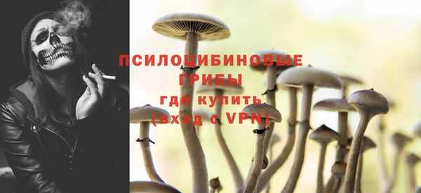 ALPHA PVP Няндома