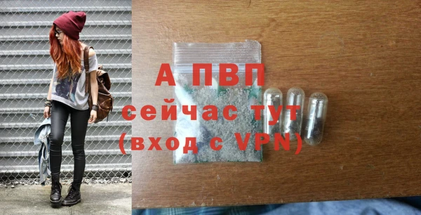 ALPHA PVP Няндома
