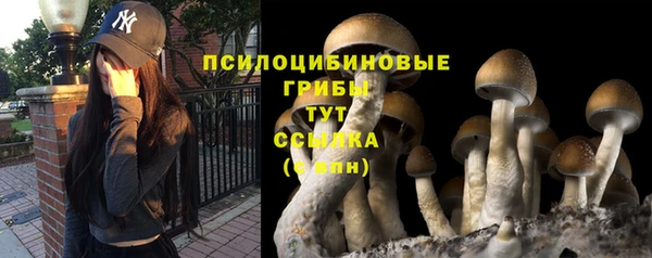 ALPHA PVP Няндома