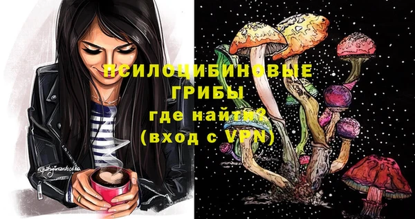 ALPHA PVP Няндома