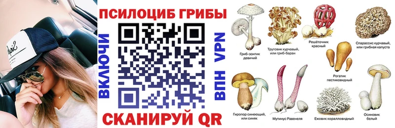 мега ONION  где найти   Иннополис  Галлюциногенные грибы Magic Shrooms 
